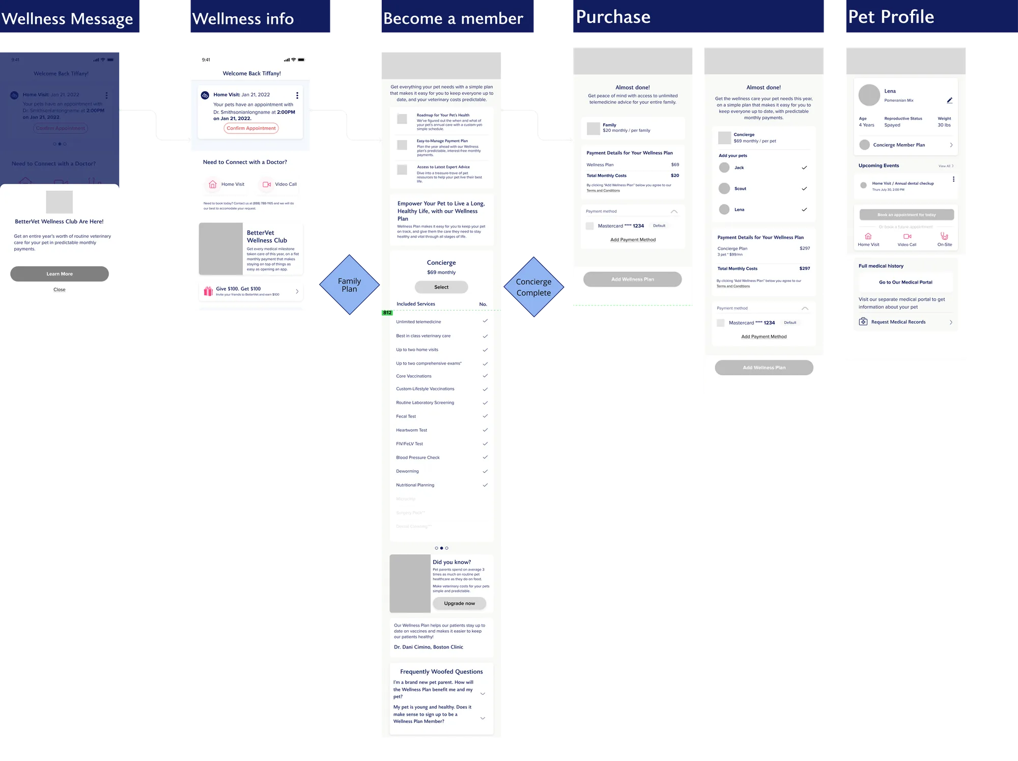 wellness Plan Overview.png