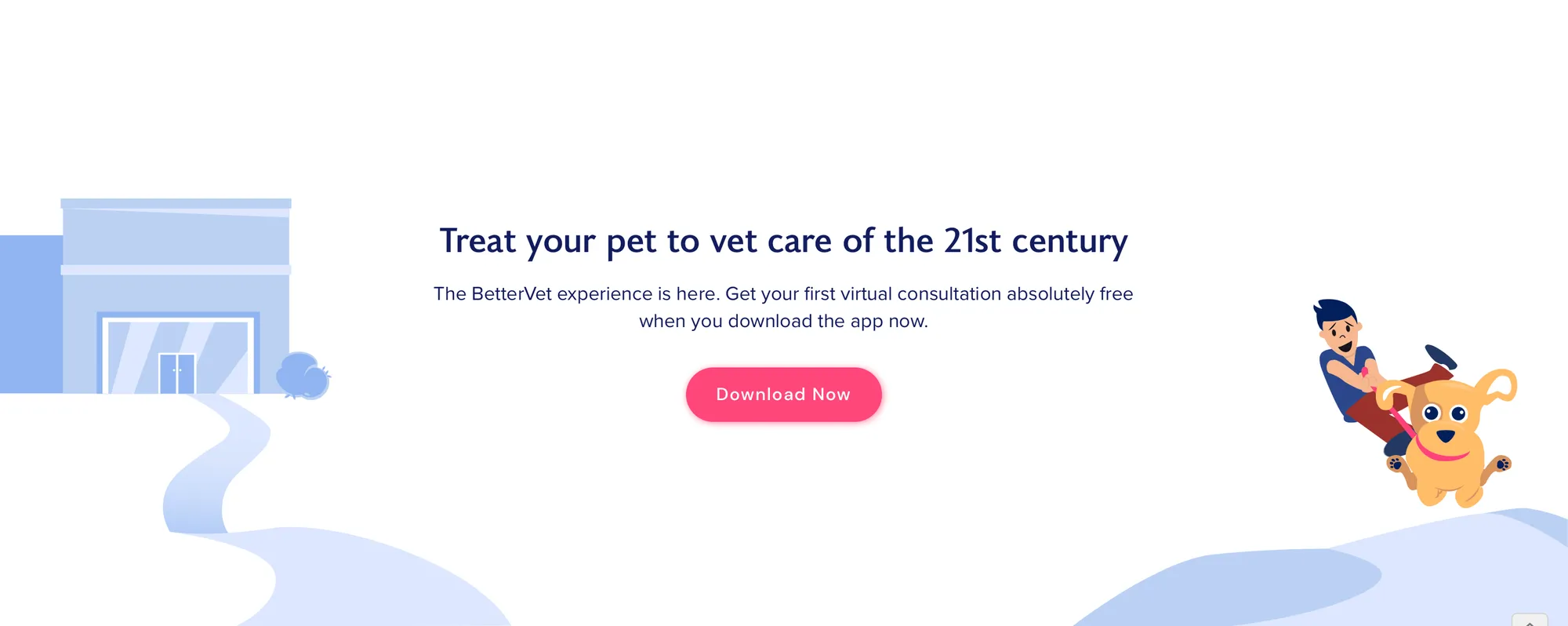 BetterVet website section